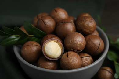 Photo of Tasty Macadamia nuts and green twig in bowl on table, closeup