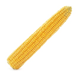 Photo of Tasty sweet corn cob on white background