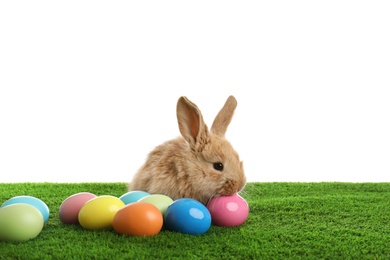Photo of Adorable furry Easter bunny and dyed eggs on green grass against white background