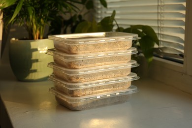 Growing microgreens. Containers with different seeds on white windowsill indoors