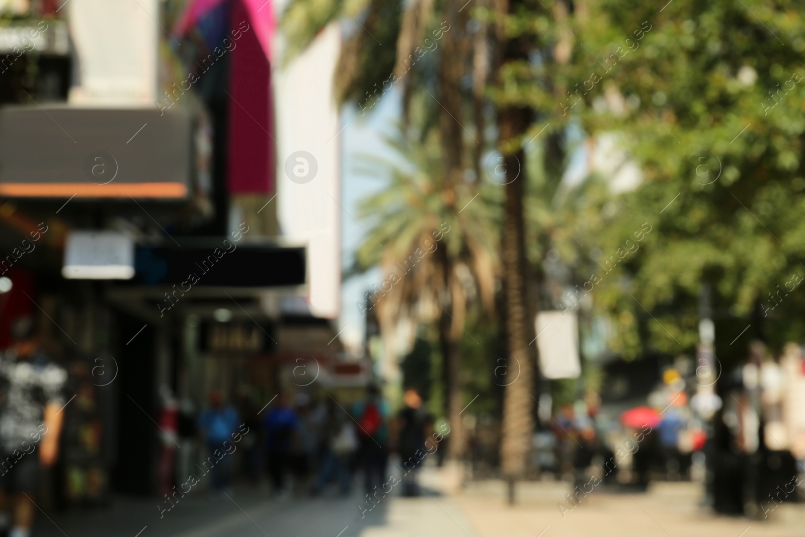 Photo of Blurred view of city street with palm trees