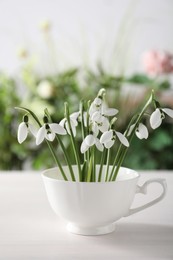 Beautiful snowdrop flowers in cup on white wooden table