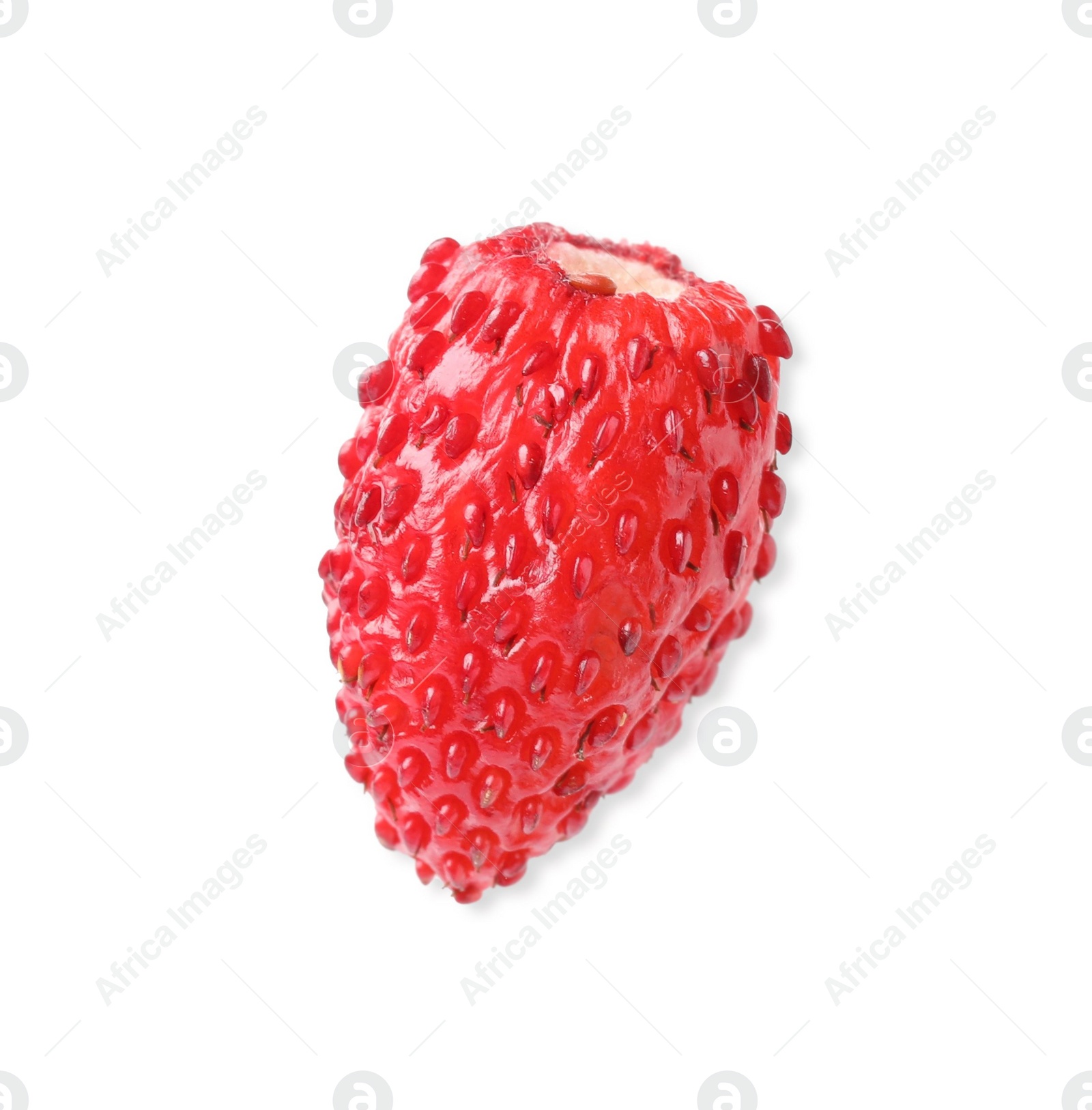 Photo of One ripe wild strawberry isolated on white