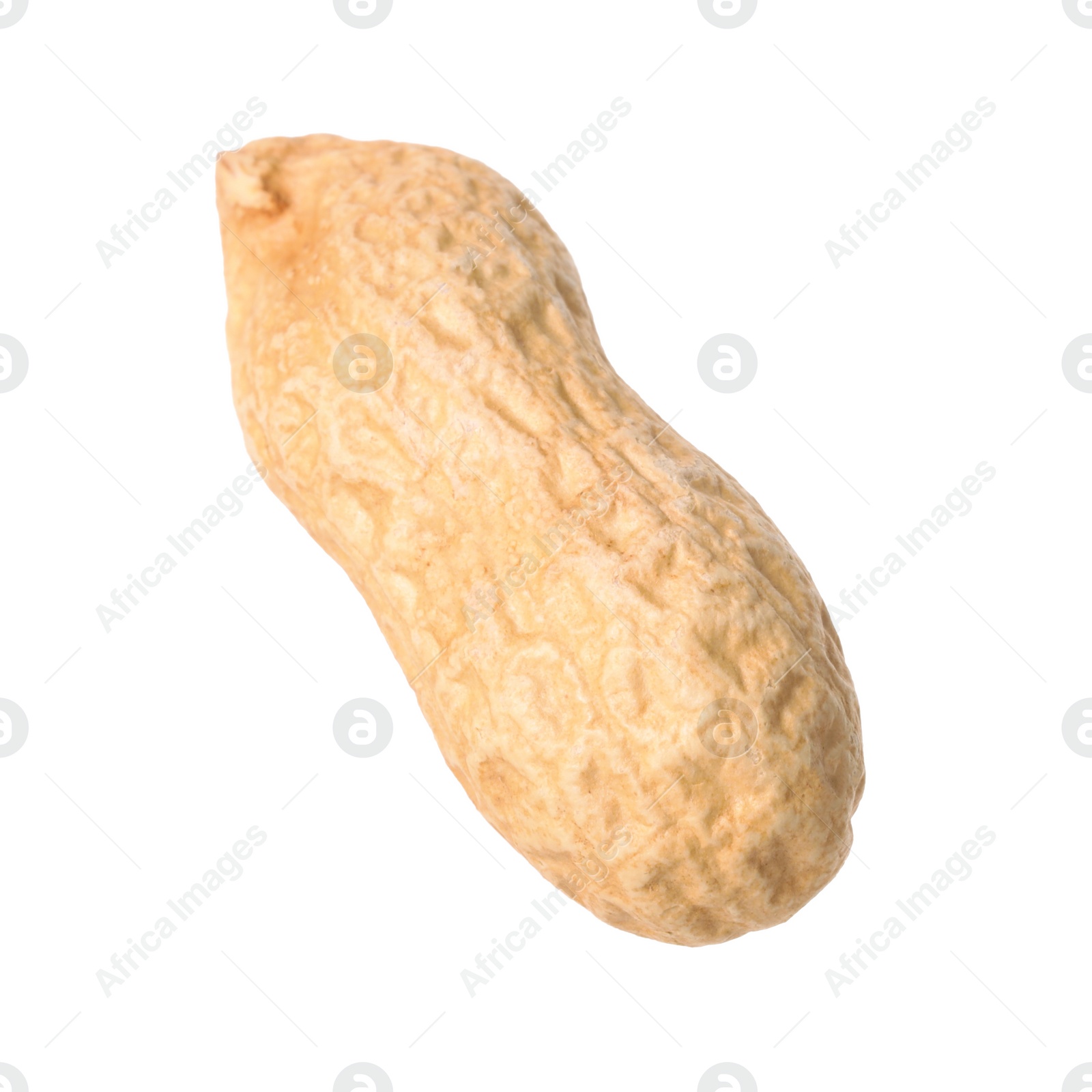 Photo of One fresh unpeeled peanut isolated on white