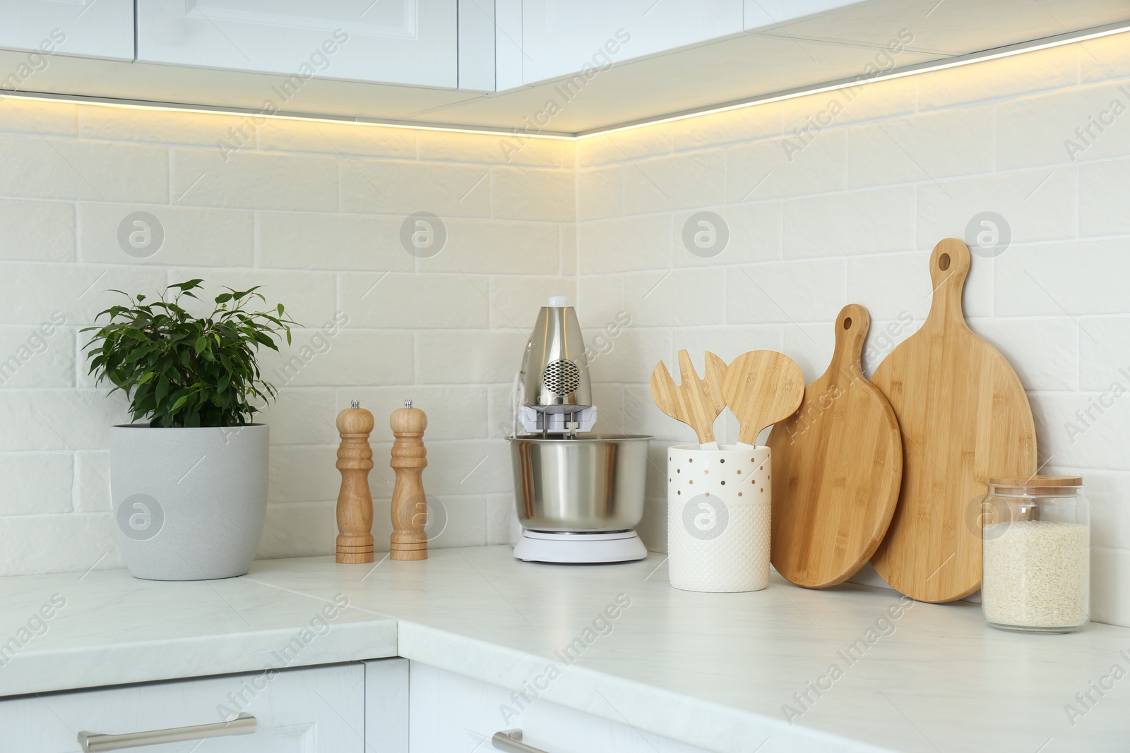 Photo of Different kitchen items and houseplant on countertop indoors