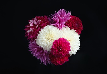 Photo of Beautiful blooming dahlia flowers on black background