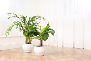 Photo of Different beautiful indoor plants on floor in room, space for text. House decoration