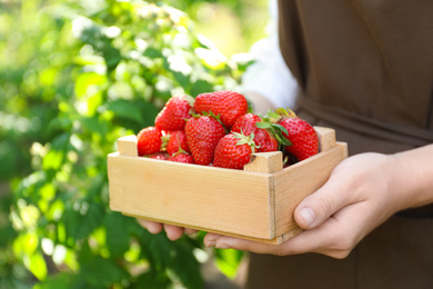 Photo of Woman holding wooden crate with ripe strawberries outdoors, closeup
