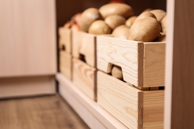 Photo of Crates with potatoes on shelf, closeup. Orderly storage