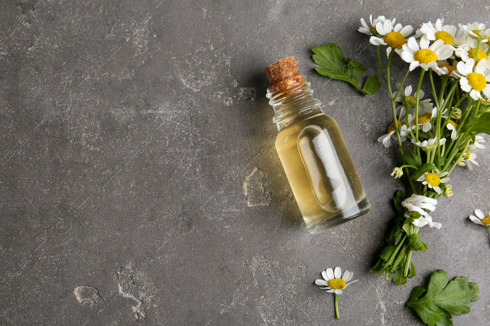 Photo of Bottle of essential oil and fresh chamomiles on grey stone table, flat lay. Space for text