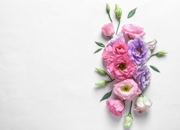 Photo of Flat lay composition with beautiful Eustoma flowers on light background