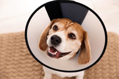 Photo of Adorable Beagle dog wearing medical plastic collar on light background, above view