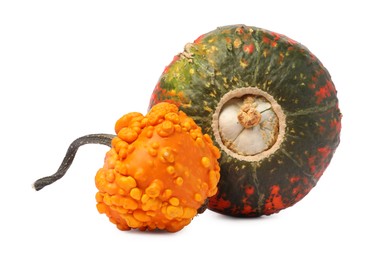 Photo of Two fresh ripe pumpkins isolated on white