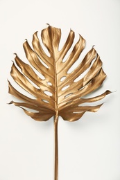 Photo of Painted tropical Monstera leaf on white background, top view