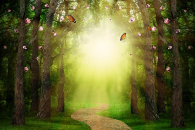 Image of Fantasy world. Magic forest with beautiful butterflies and sunlit way between trees