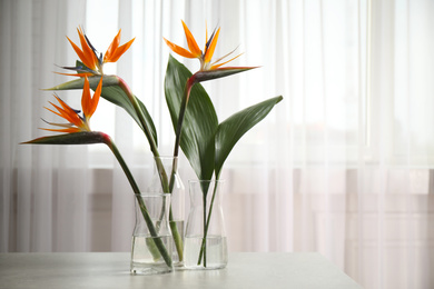 Photo of Bird of Paradise tropical flowers on white table, space for text