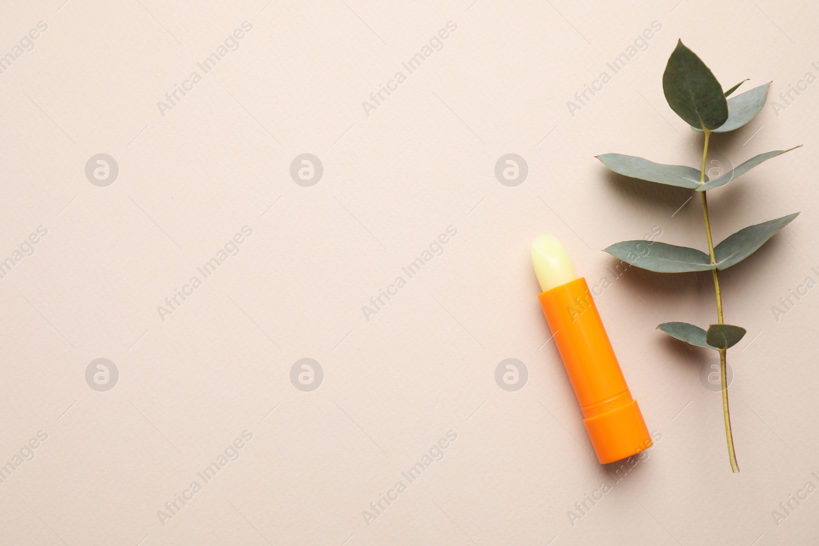 Photo of Hygienic lipstick and eucalyptus on light background, flat lay. Space for text