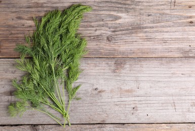 Photo of Sprigs of fresh green dill on wooden table, top view. Space for text