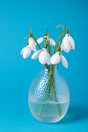 Photo of Beautiful snowdrops in vase on light blue background
