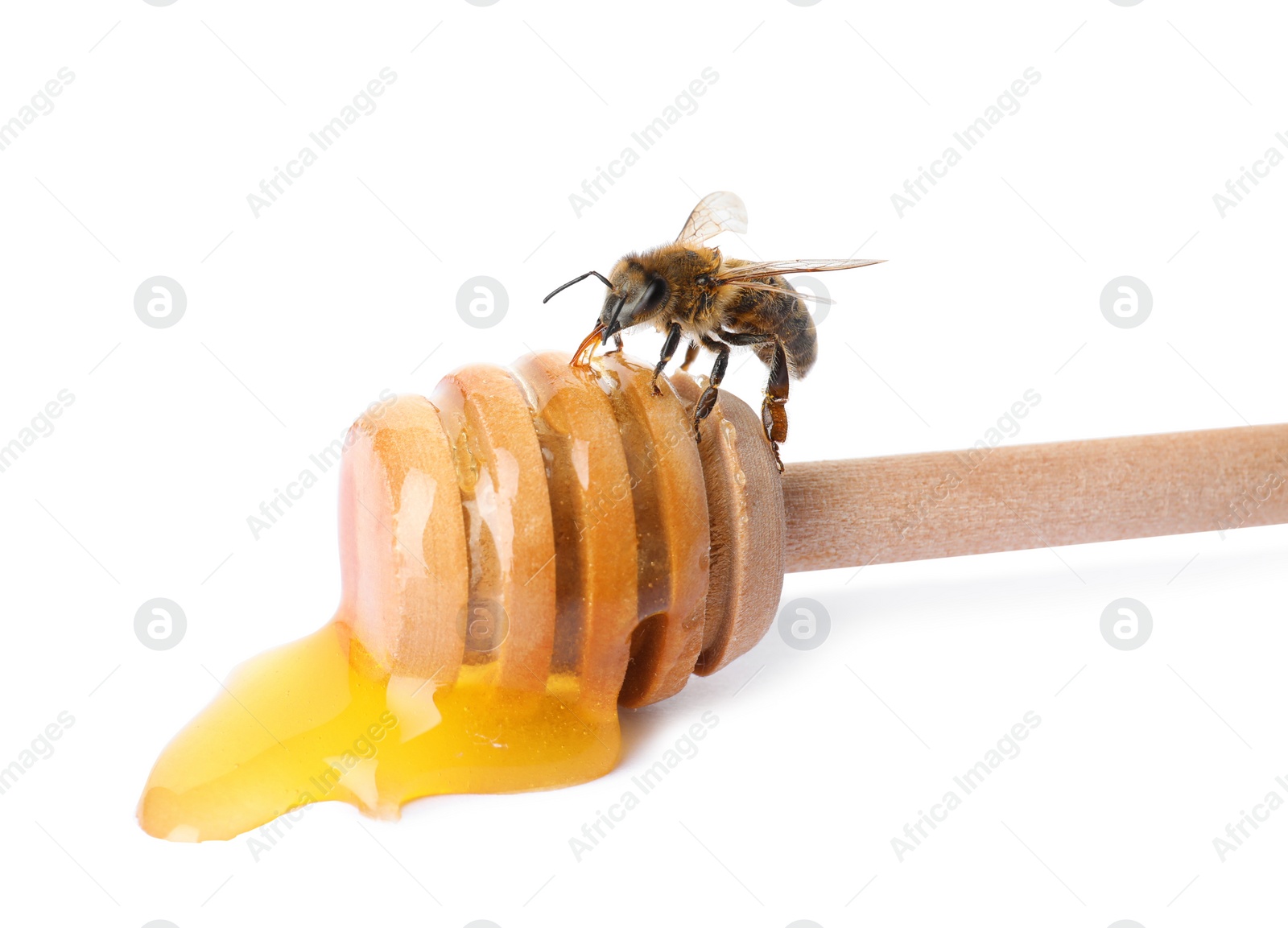 Photo of Wooden dipper with honey and bee on white background