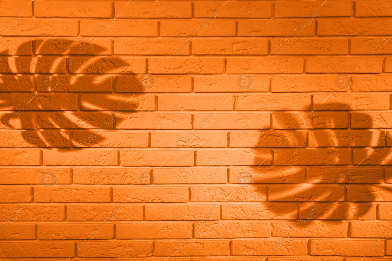 Image of Shadows of monstera leaves on orange brick wall