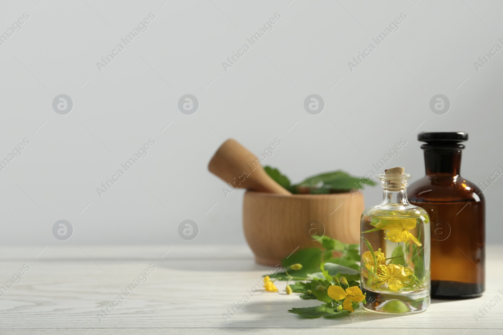 Photo of Bottles of celandine tincture and plant on white wooden table, space for text