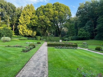 Beautiful green trees, flowers and shrubs in garden on sunny day