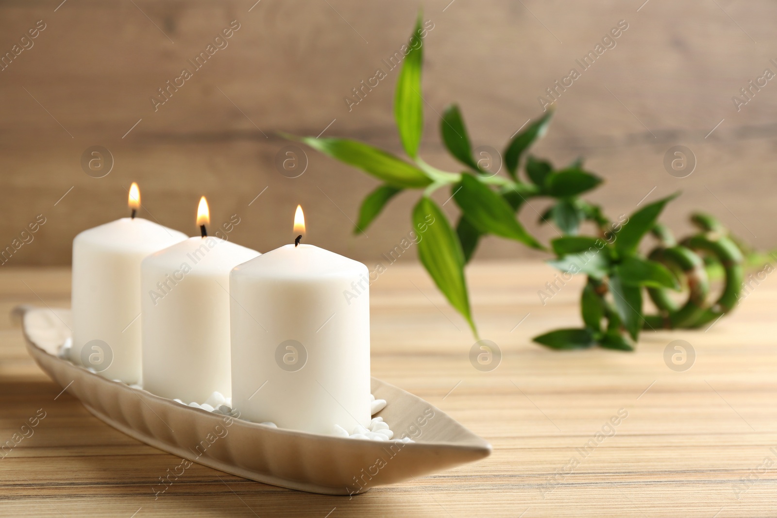 Photo of Plate with three candles and bamboo branch on wooden table. Space for text