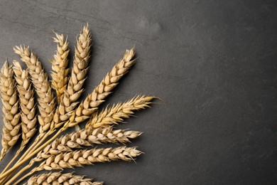 Photo of Dried ears of wheat on black table, flat lay. Space for text