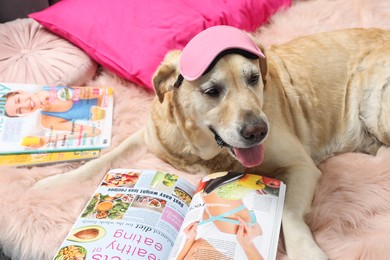 Photo of Cute Labrador Retriever with sleep mask and magazines on bed