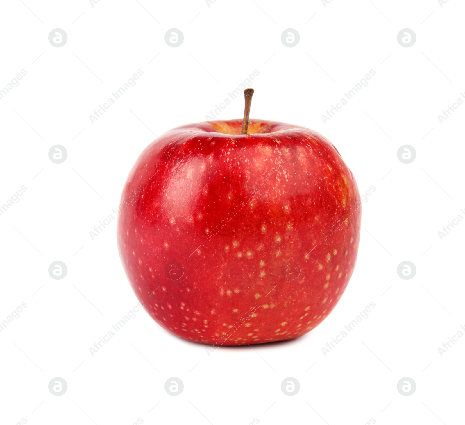 Photo of Ripe juicy red apple on white background