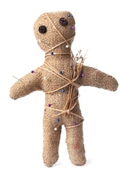 Photo of Voodoo doll with pins and dried flowers isolated on white