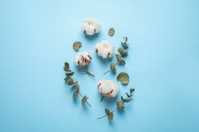 Fluffy cotton flowers and green leaves on light blue background, flat lay