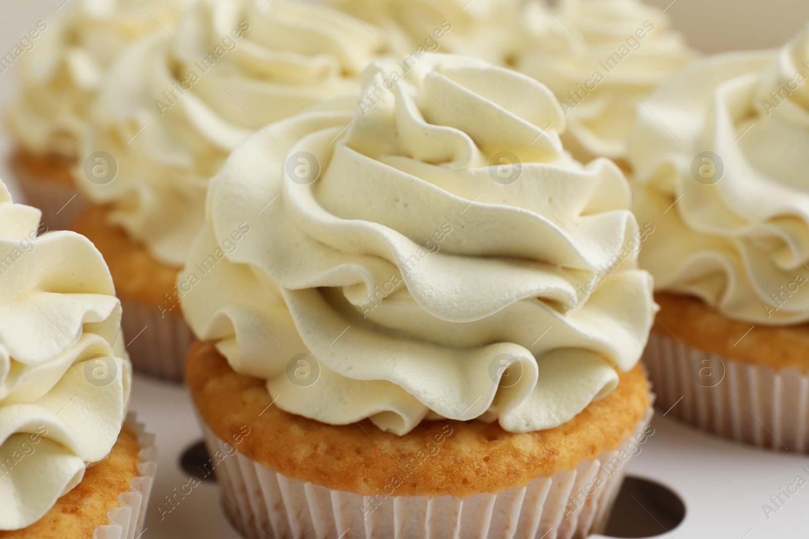 Photo of Tasty cupcakes with vanilla cream in box, closeup