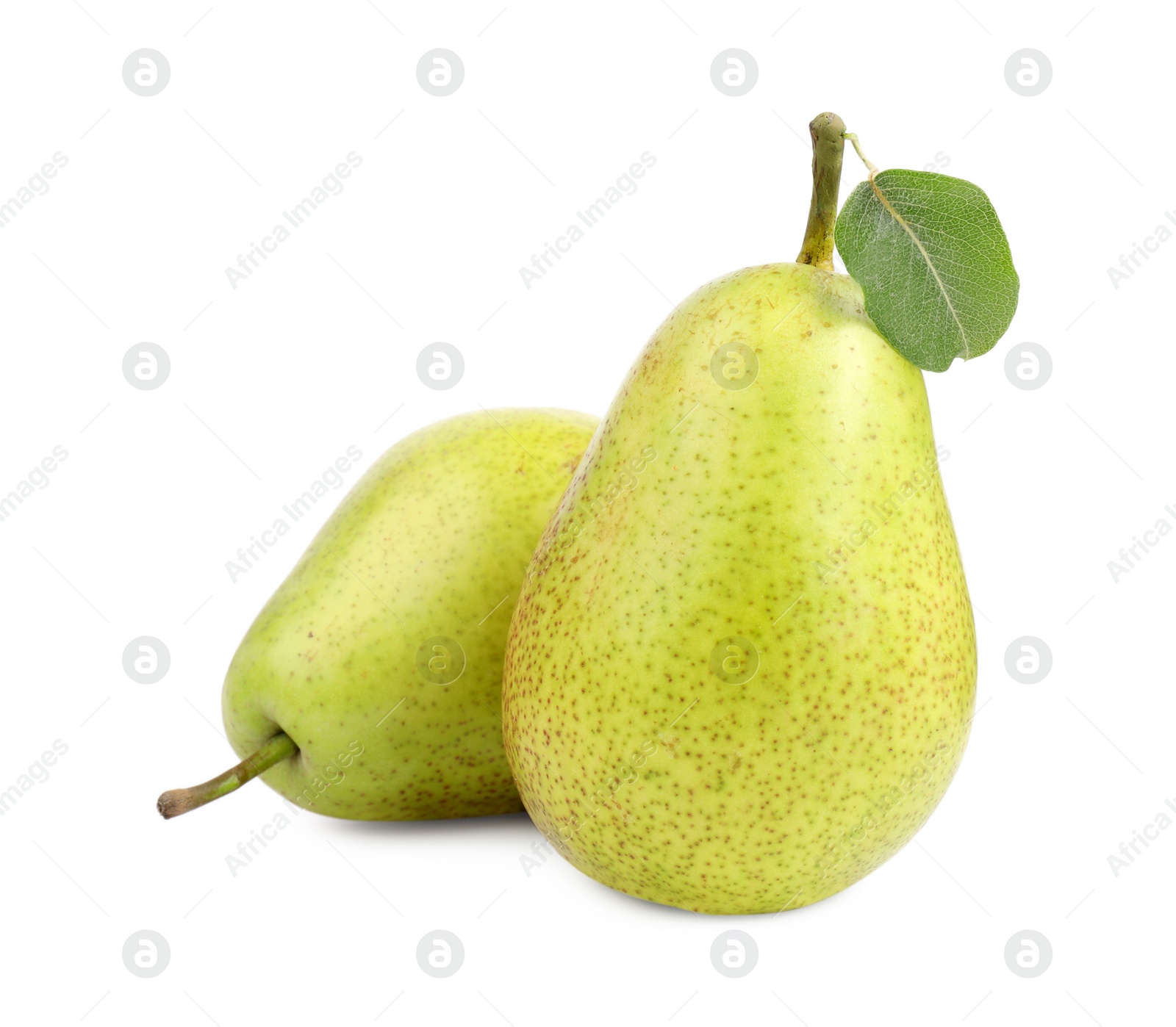 Photo of Tasty ripe pears with leaf on white background