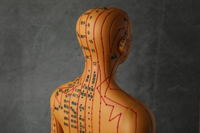 Photo of Acupuncture model. Mannequin with dots and lines on dark grey background