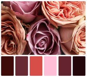 Beautiful fresh flowers and color palette. Collage