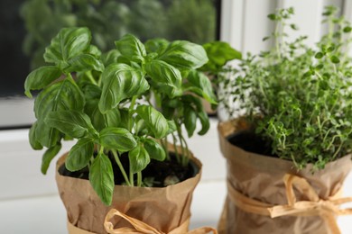 Photo of Aromatic potted basil and thyme on windowsill indoors, closeup