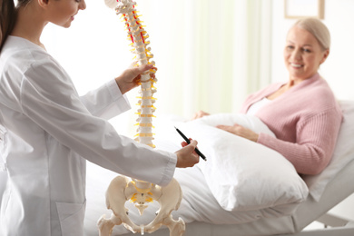 Photo of Female orthopedist explaining structure of spine to patient in clinic, closeup