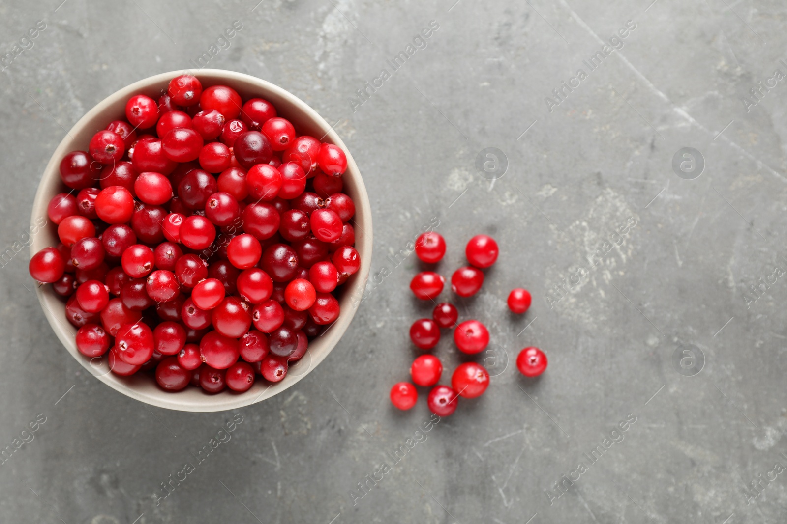 Photo of Cranberries in bowl on light grey table, top view. Space for text