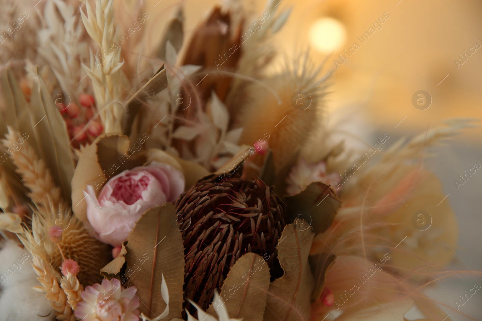 Photo of Bouquet of dry flowers and leaves on blurred background, closeup