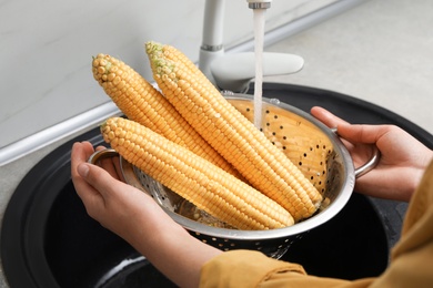 Photo of Woman washing corn cobs in sink, closeup