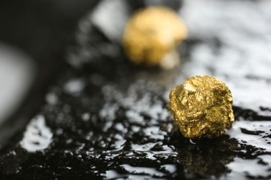 Photo of Shiny gold nugget on wet stone, closeup. Space for text