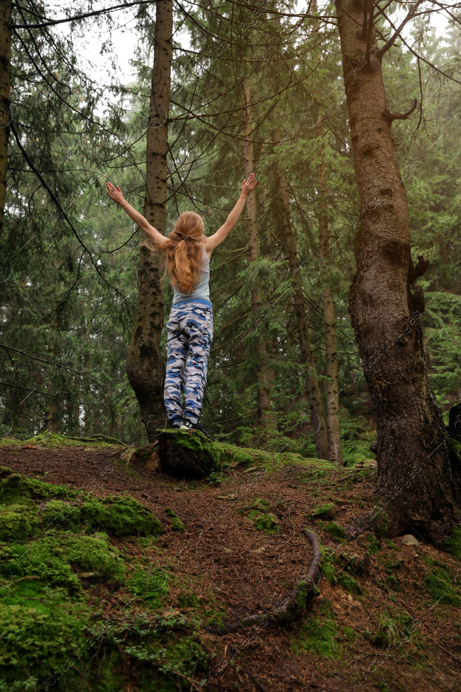 Photo of Woman on walk in beautiful coniferous forest