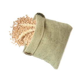 Sack with wheat grains and spikes on white background, top view