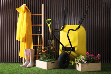 Wheelbarrow, blooming plants, gardening tools and accessories on green grass near wood slat wall