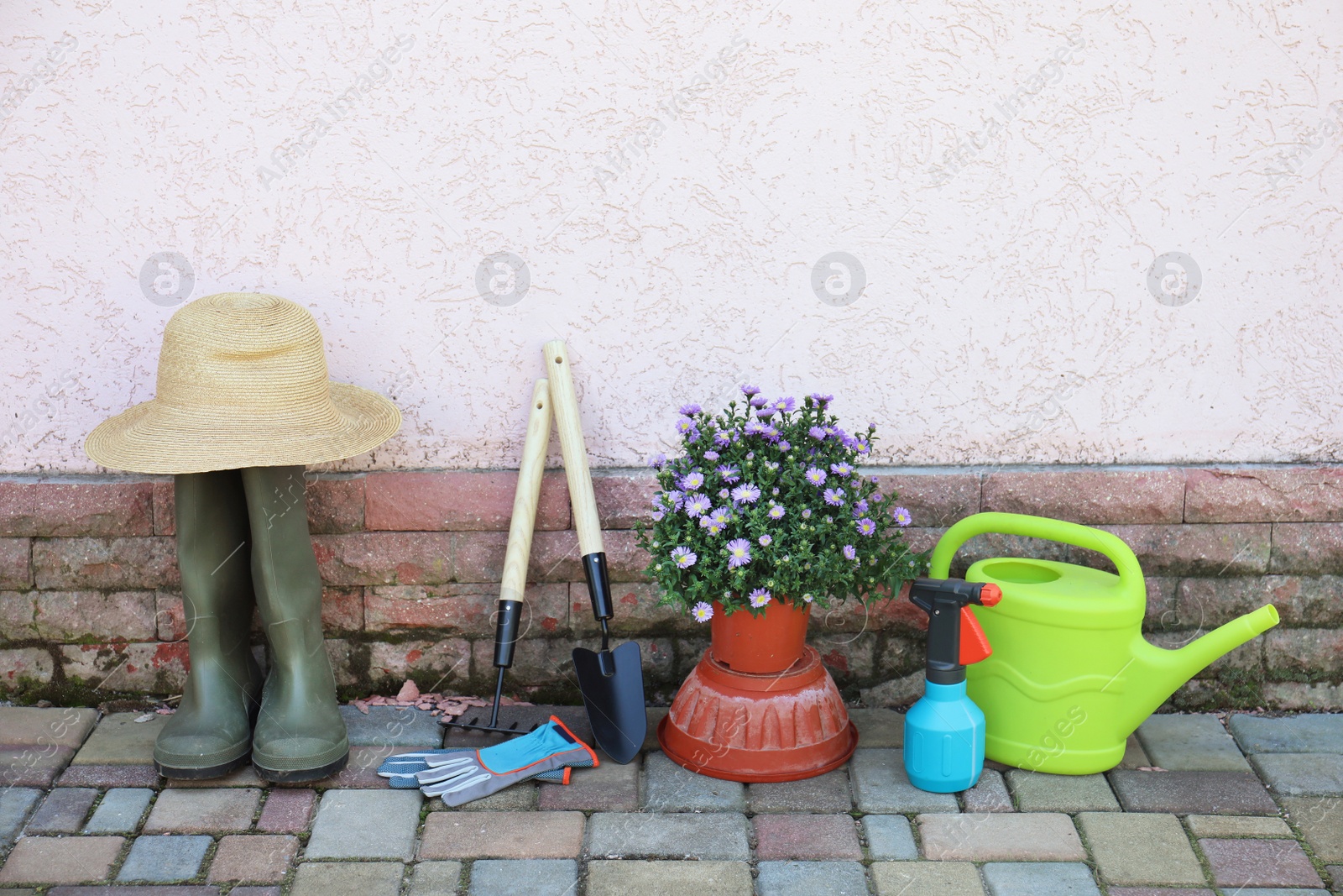 Photo of Potted flower and gardening tools near wall on floor, outdoors