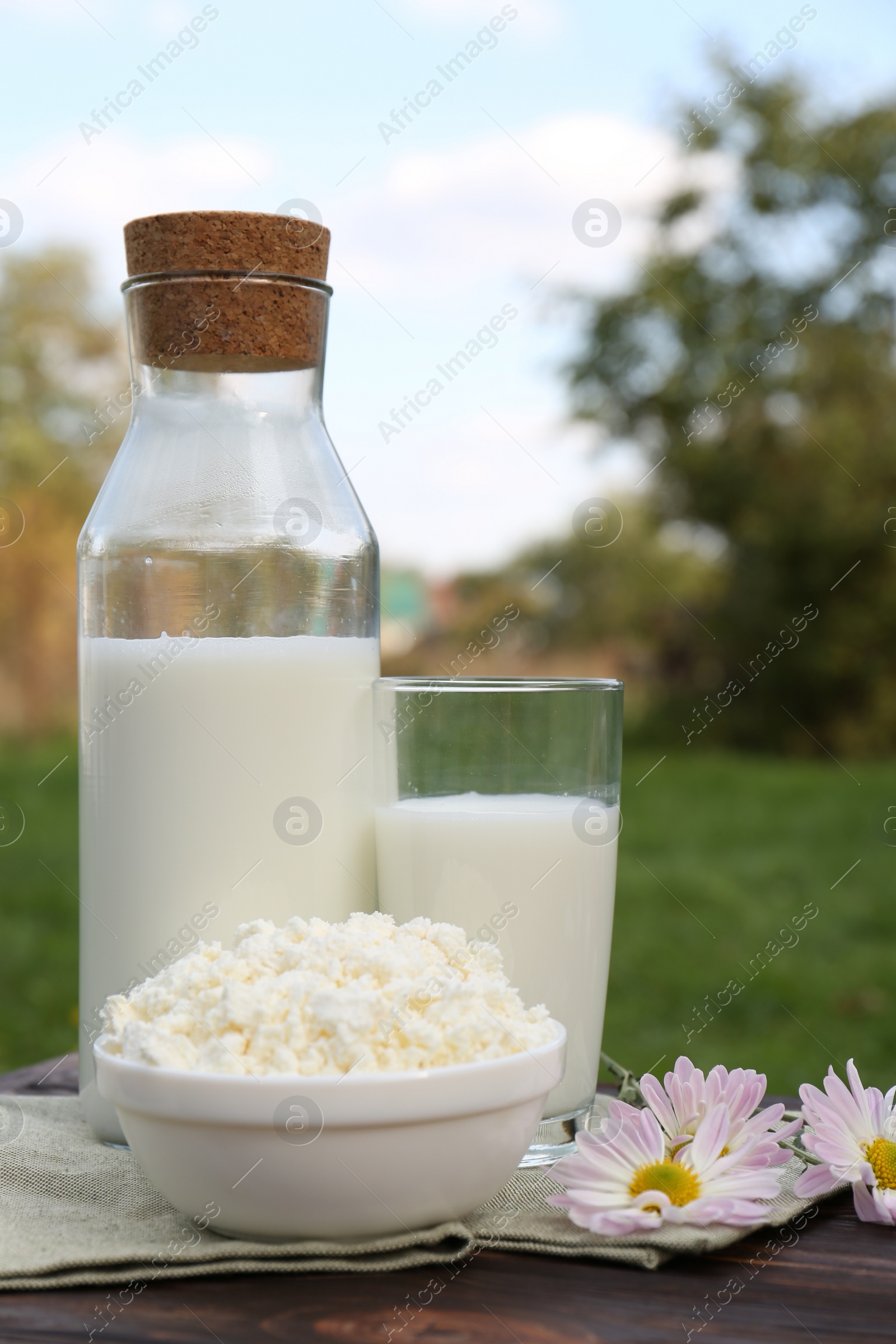 Photo of Tasty fresh milk and cottage cheese on wooden table outdoors