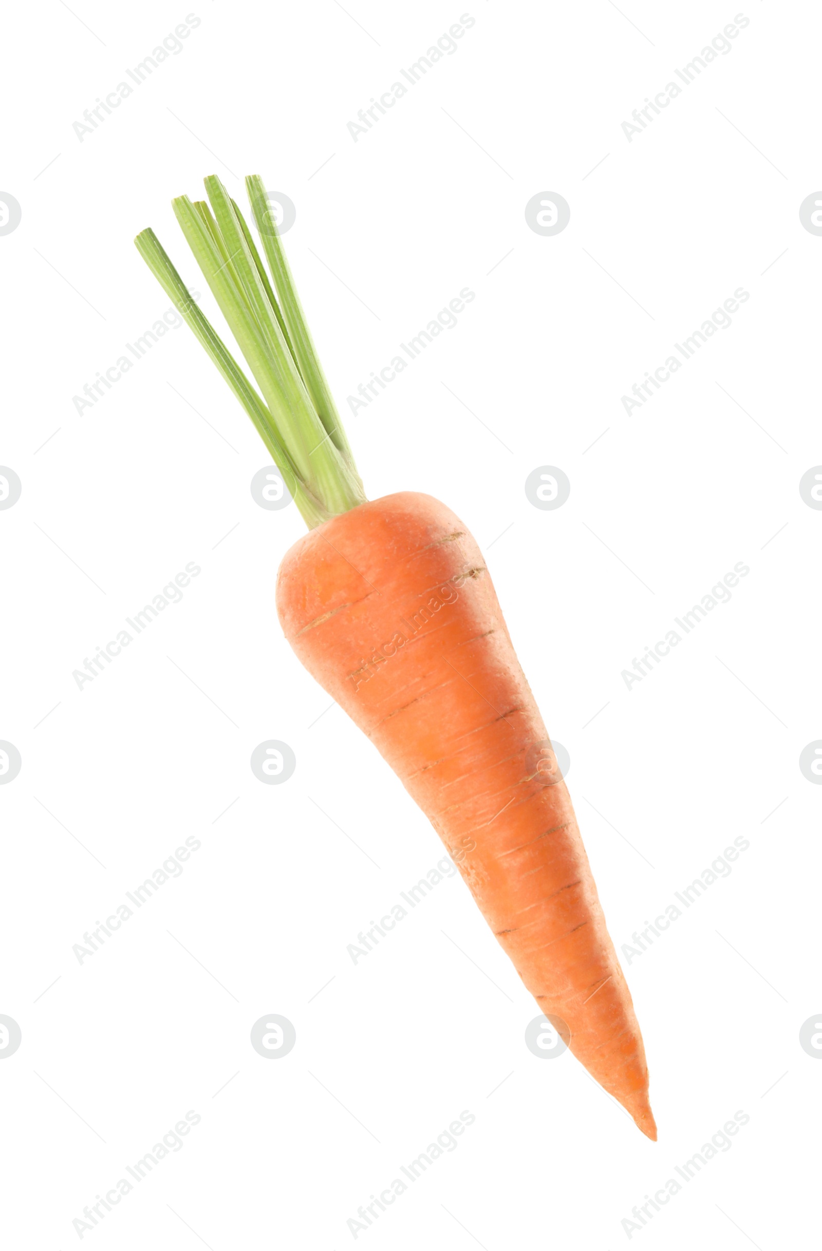 Photo of Fresh ripe juicy carrot isolated on white