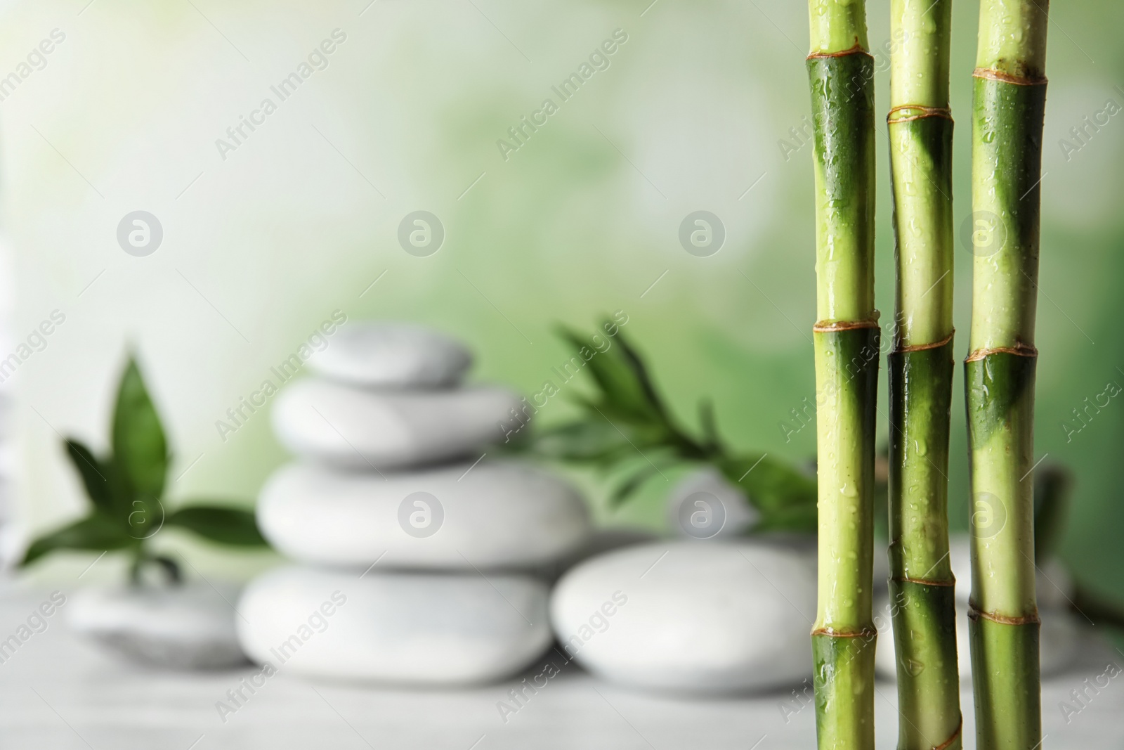 Photo of Bamboo branches against blurred spa stones on table. Space for text